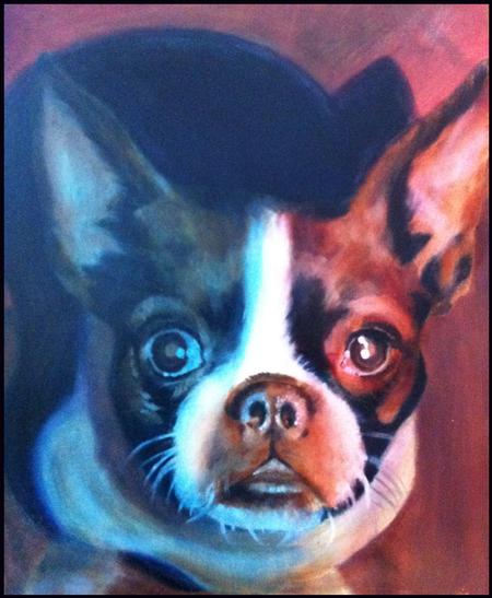 Phil Robertson - Boston terrier portrait